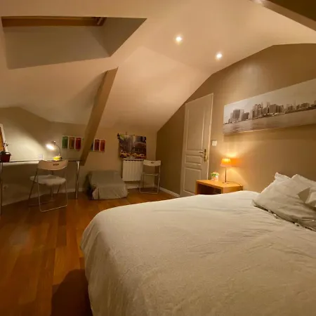 Chambre Au Centre Ville Tres Cosy Nancy Buitenkant foto